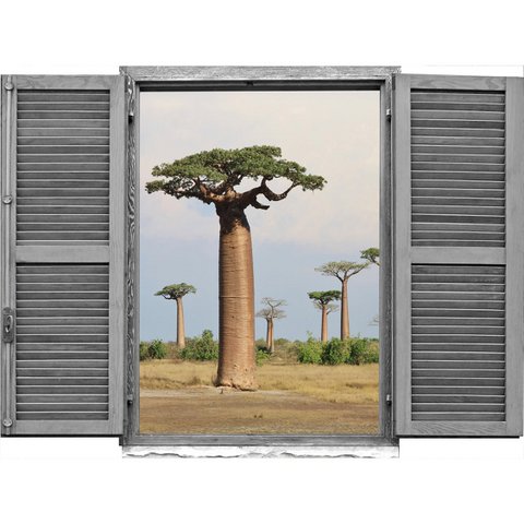 3D wall sticker - Janiyah