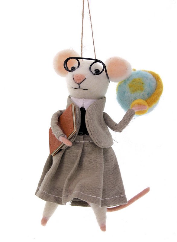 profesor de ratón