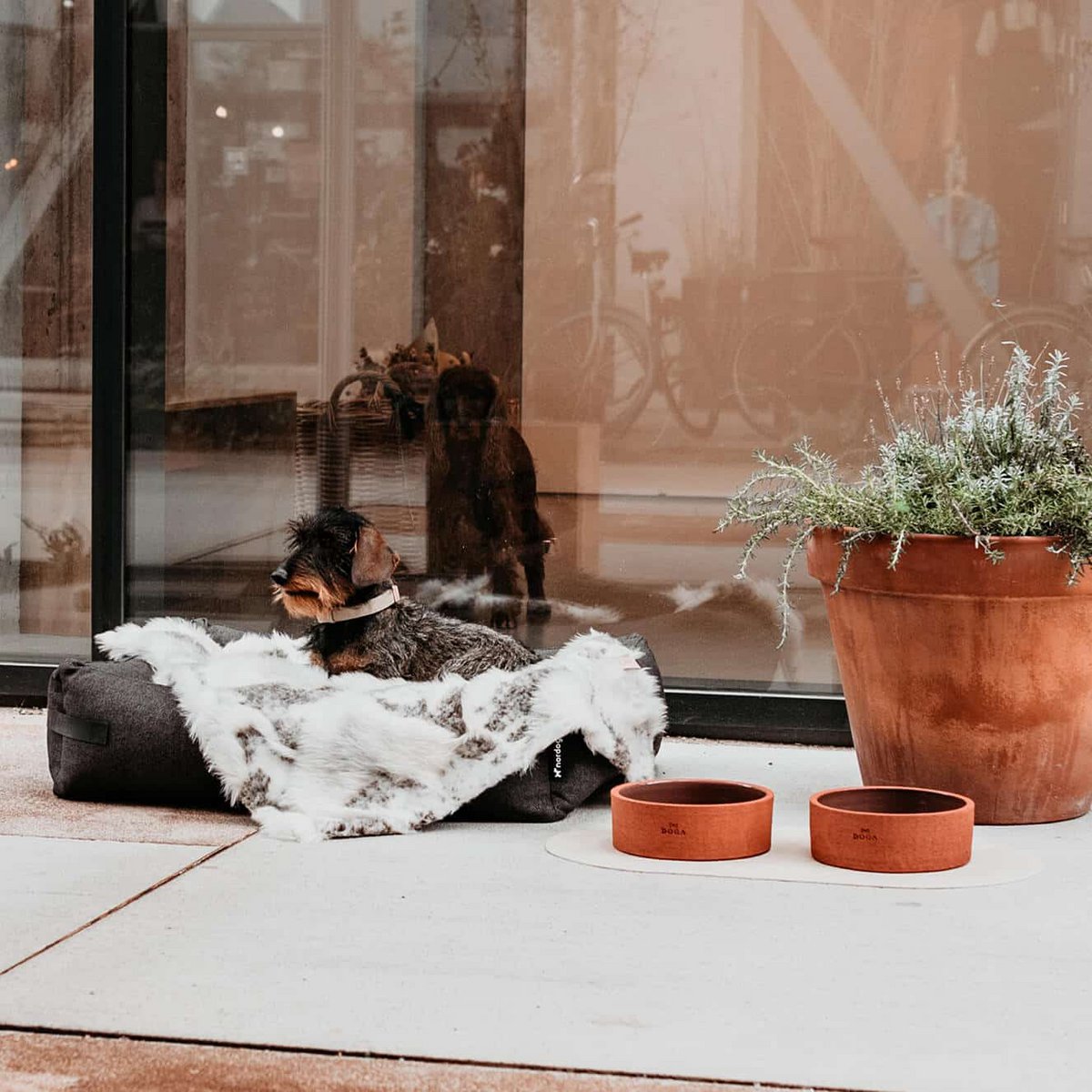 Terracotta Marokko hundefoder skål