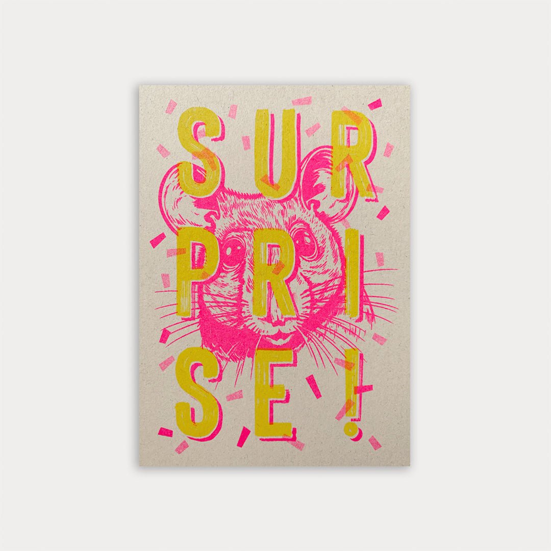 Ansichtkaart / typfout / verrassing! / Riso-drukwerk