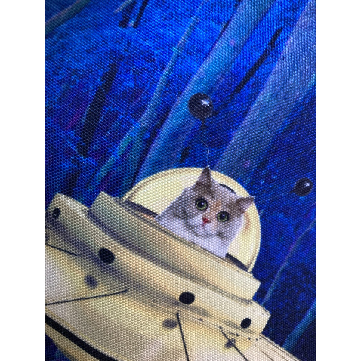 Etui - Poes in ruimteschip / Ufo