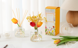 Cocodor Tulipan Diffuser 200 ml
