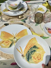 La dolce vita di una farfalla - Piatti Fondi