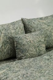 HAY - federa