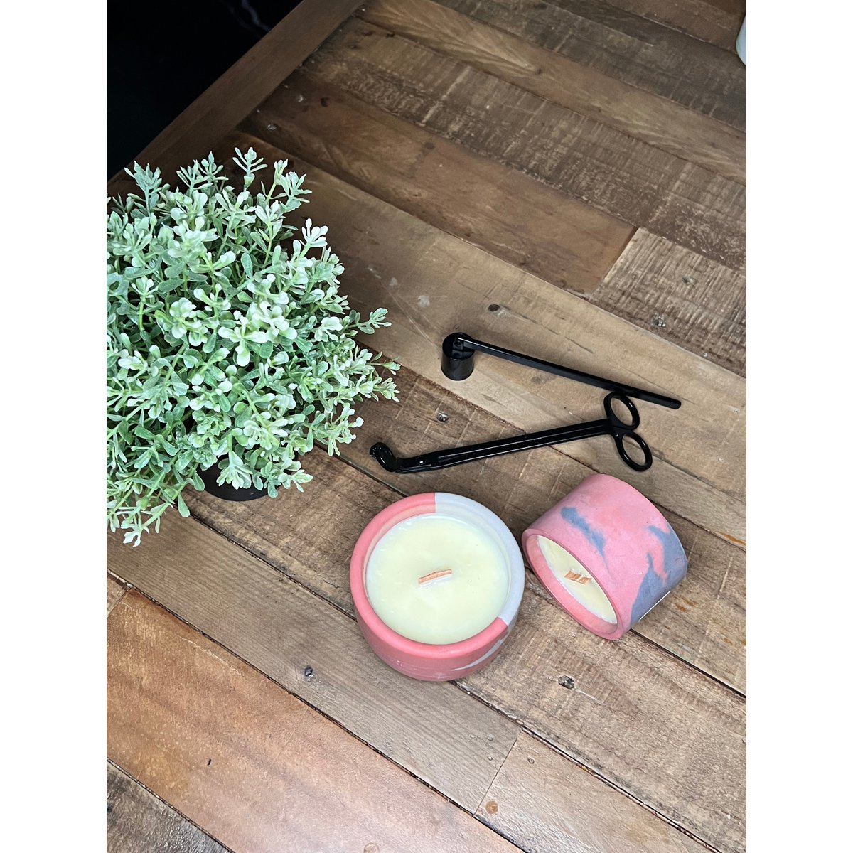 CHRITSMAS SPICE - Concrete Candles 230g