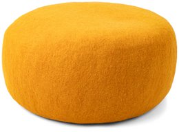 Risa