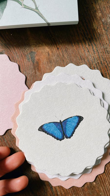 Coasters 10 motiver insekter - 12 sæt
