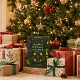 Calendario dell'Avvento 24 Tisane Biologiche – Infusi di Piante, Frutta e Spezie 100% Naturali – Confezione Regalo Gourmet & Benessere Senza Caffeina – Aromi Naturali e Benefici