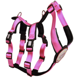 Sikkerhedssele – Patch&Safe – Pink