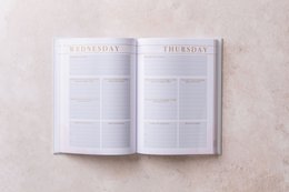LSW Mind Notes