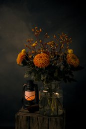 Fall Stilles Leben