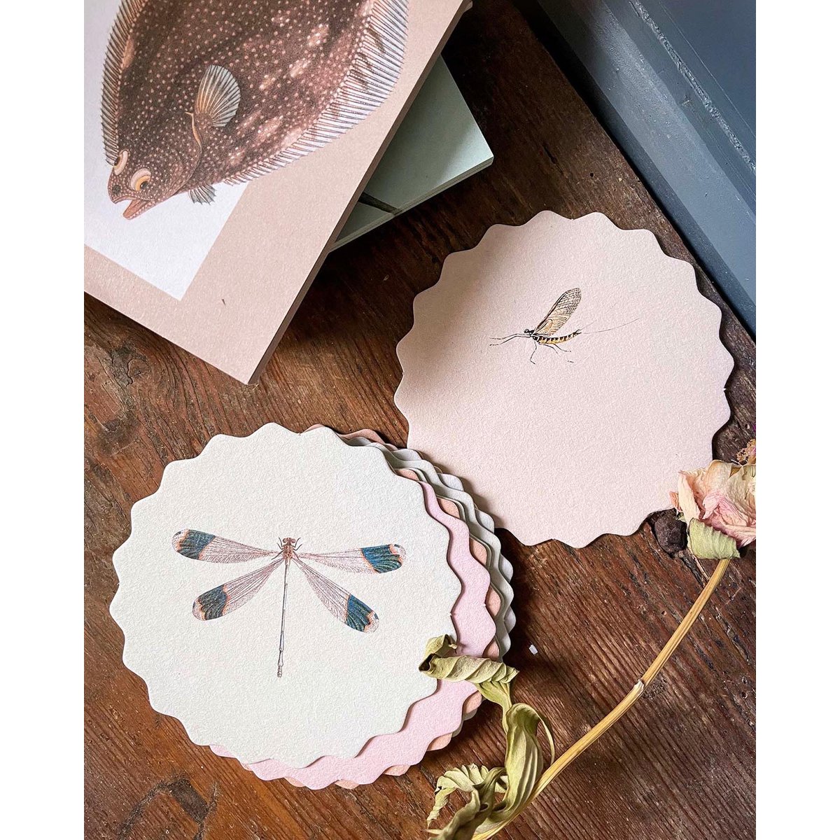 Coasters 10 motiver insekter - 12 sæt