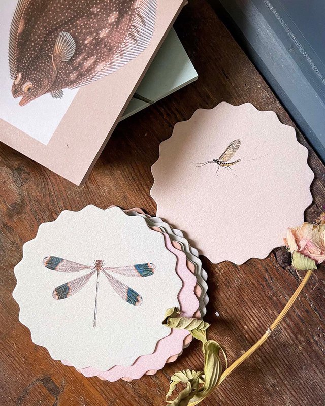 Coasters 10 motiver insekter - 12 sæt