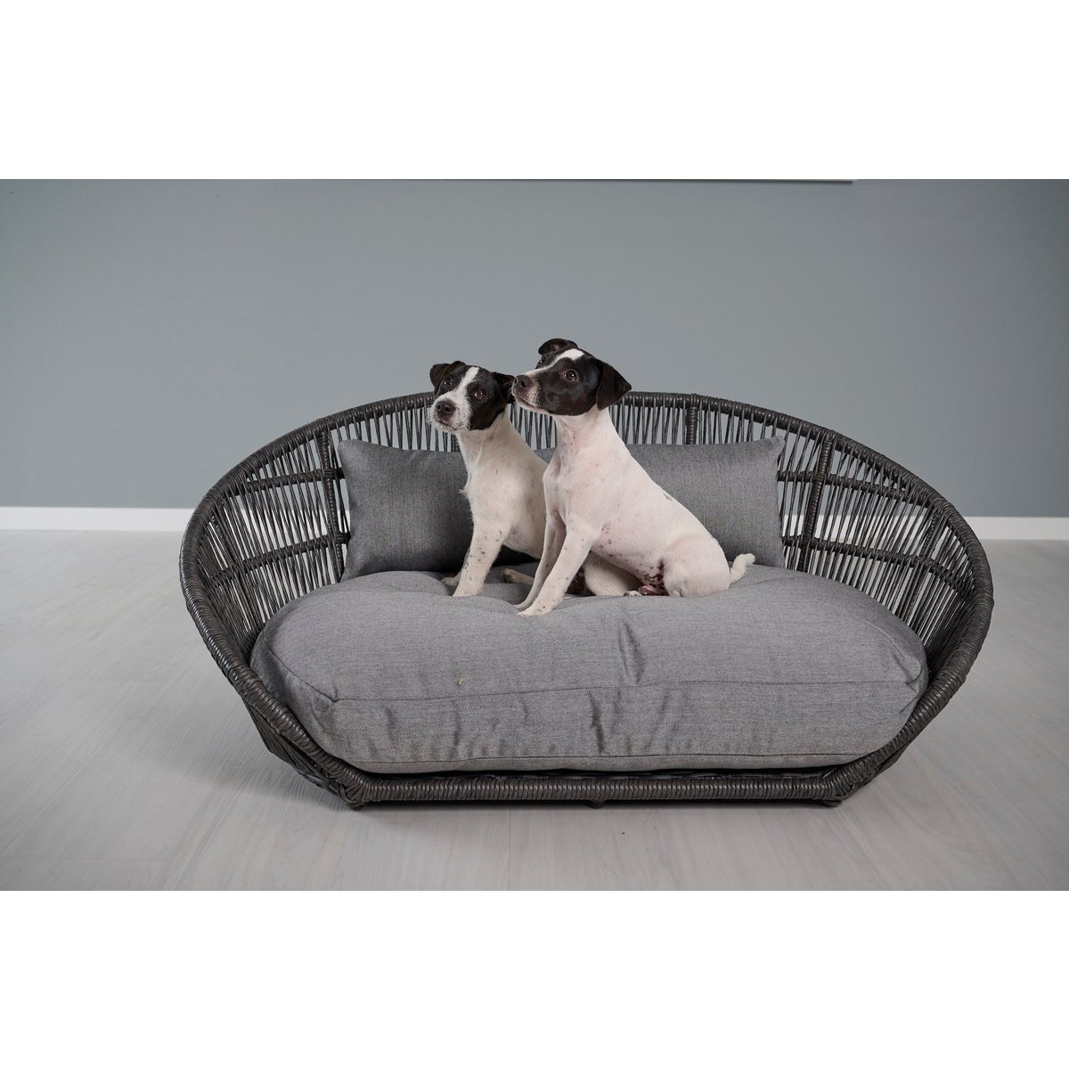 PRADO - Design-Hundebett LISCIO