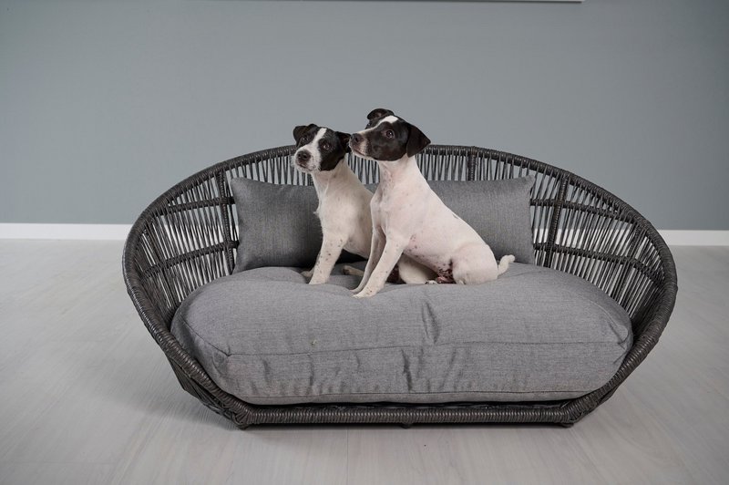 PRADO - Design-Hundebett SMOOTH