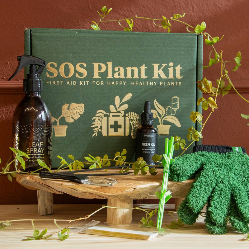 Kit SOS Plant: Salvando plantas enfermas, una hoja a la vez