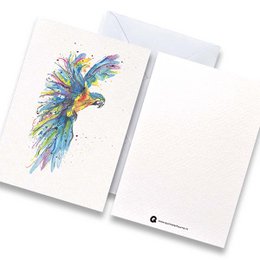 Card parrot %232 color with envelope