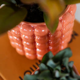 Kolibri Home | Mohn Sierpot - Orange - Ø9cm