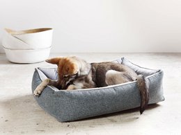 ORTHO Hundebett - SCALA