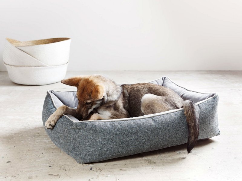 ORTHO Hundebett - SCALA