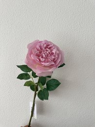 QMF Hand Touch Rose 65 cm Violak 1 PZ