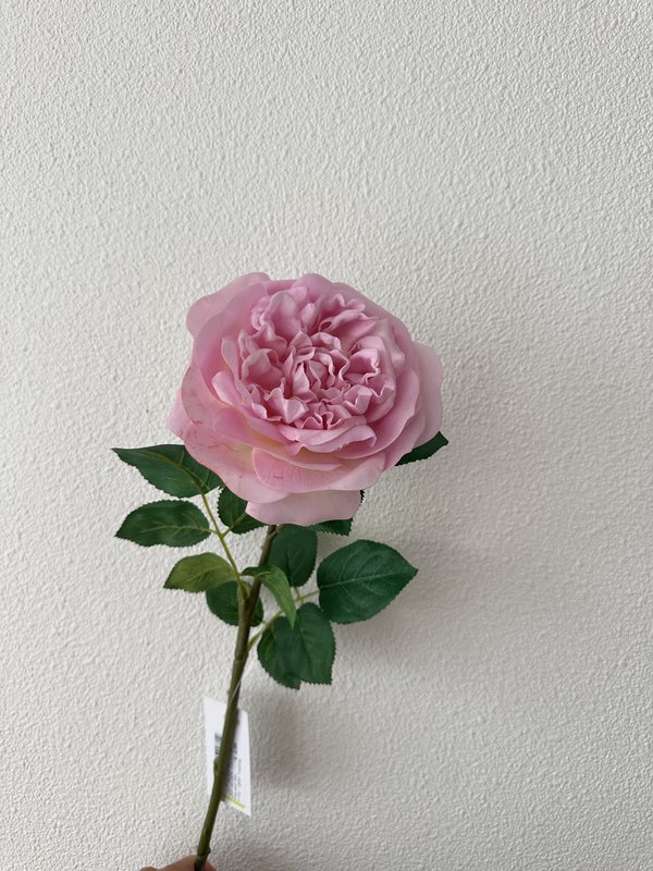 QMF Hand Touch Rose 65 cm Violak 1 PZ