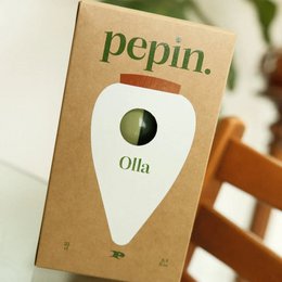 Olla - Green e Green Striped