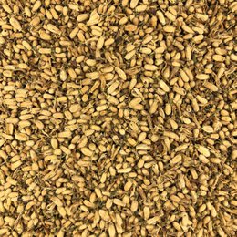 Orange Button Organic Bulk