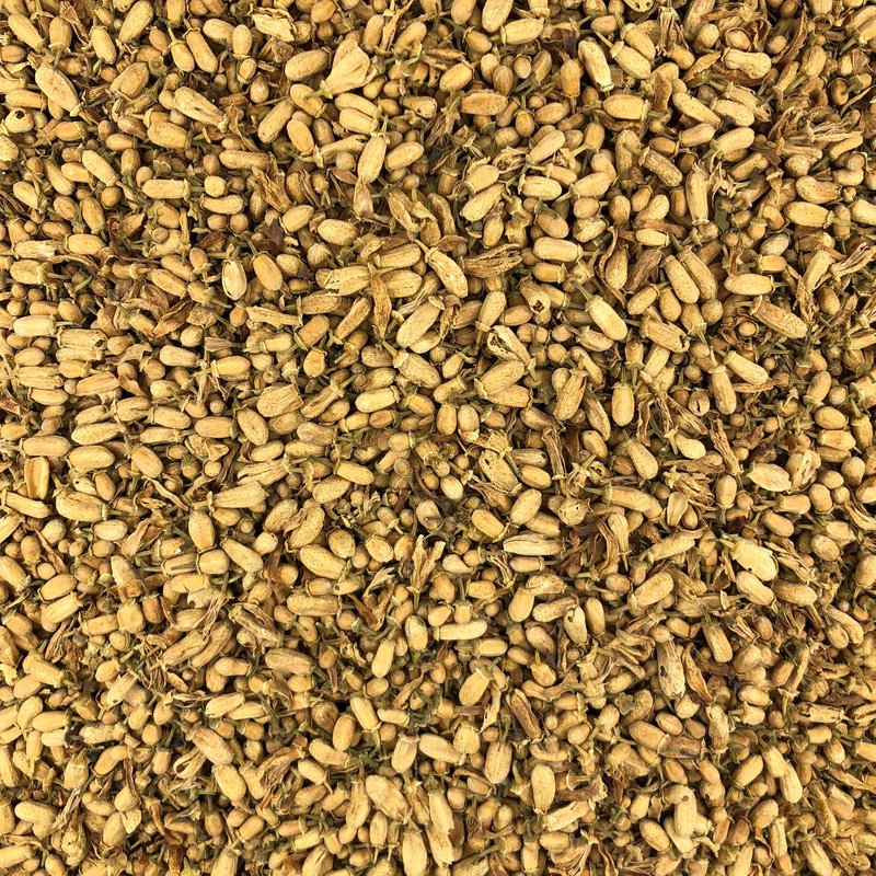 Orange Button Organic Bulk