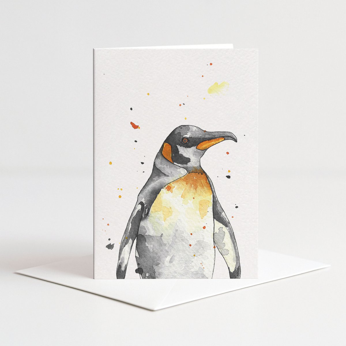 Cartoncino colore pinguino con busta