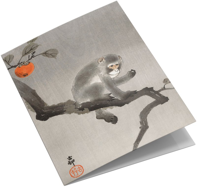Conjunto de tarjetas de felicitación Estampados de animales