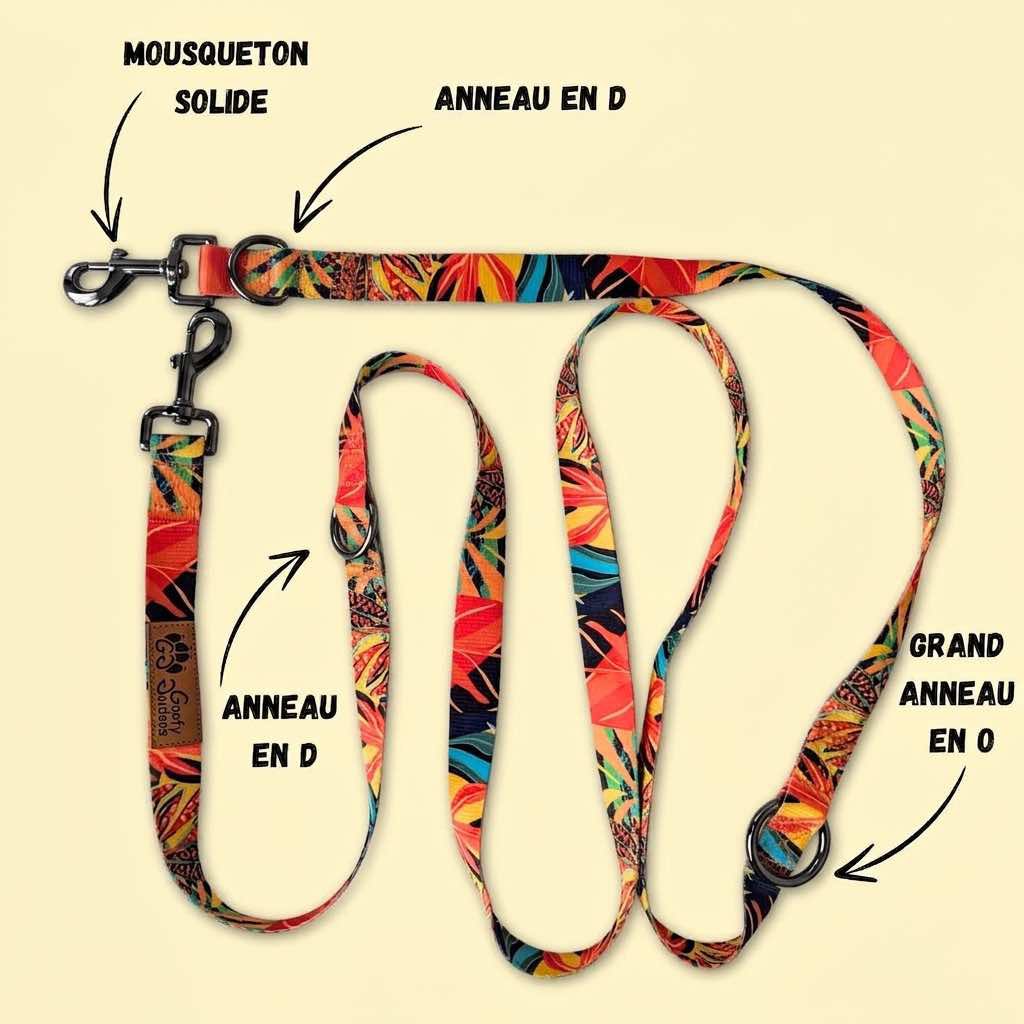Tropical multi-position leash