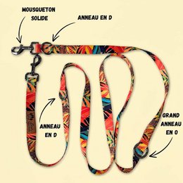 Tropical multi-position leash