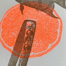 Riso Art Print / Fisch / A4 / Pflanzenfarbe
