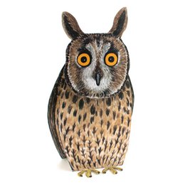 Chouette à carte animale 3D
