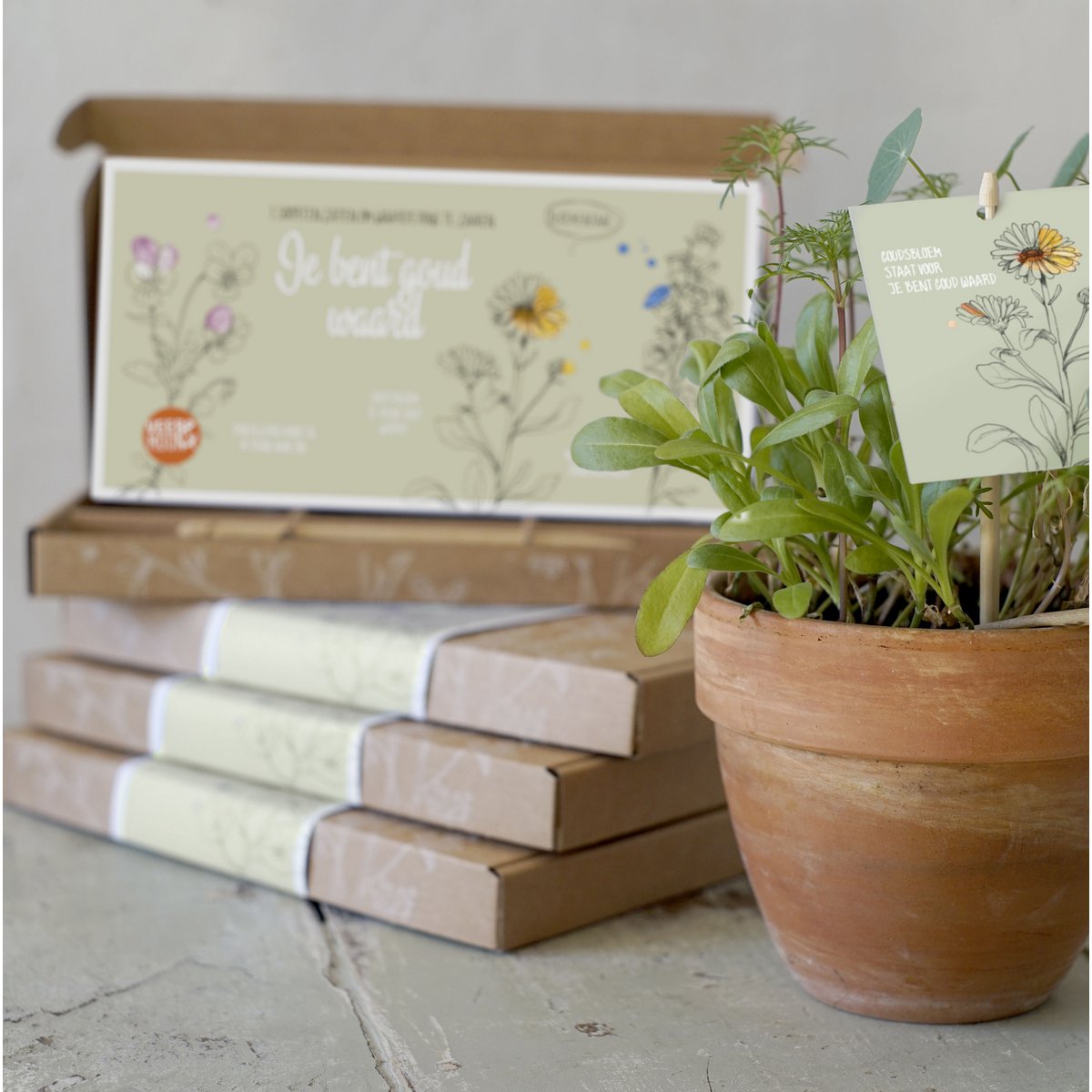 Cadeaudoosje Waardering zaaien