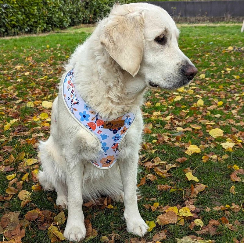 Spring Classic Harness
