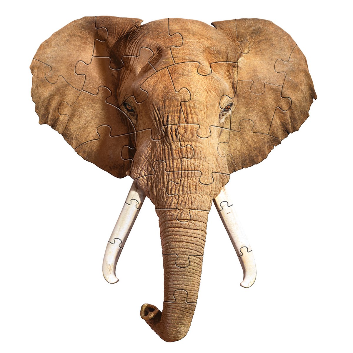 I Am Preschool - Olifant