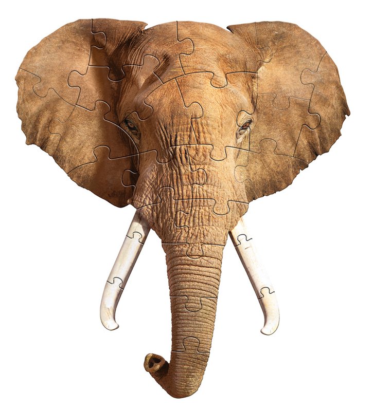 I Am Preschool - Olifant