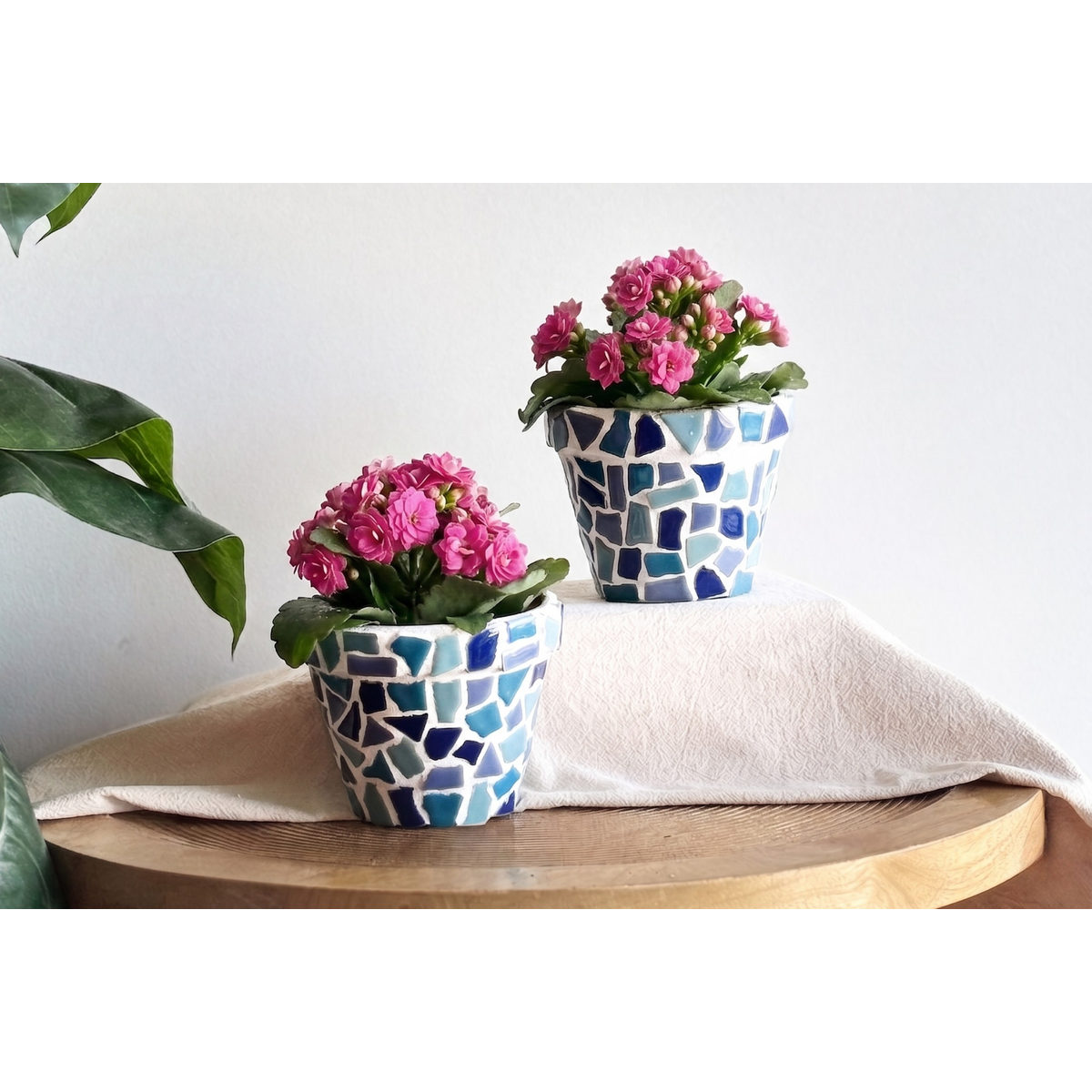 Blauw Mix