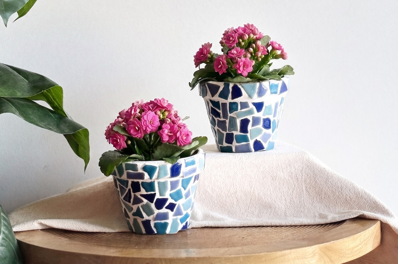 Blauw Mix