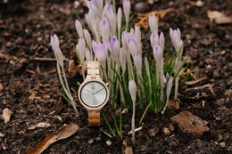 Greenwatch | Nåde | Træur Dame | Egetræ