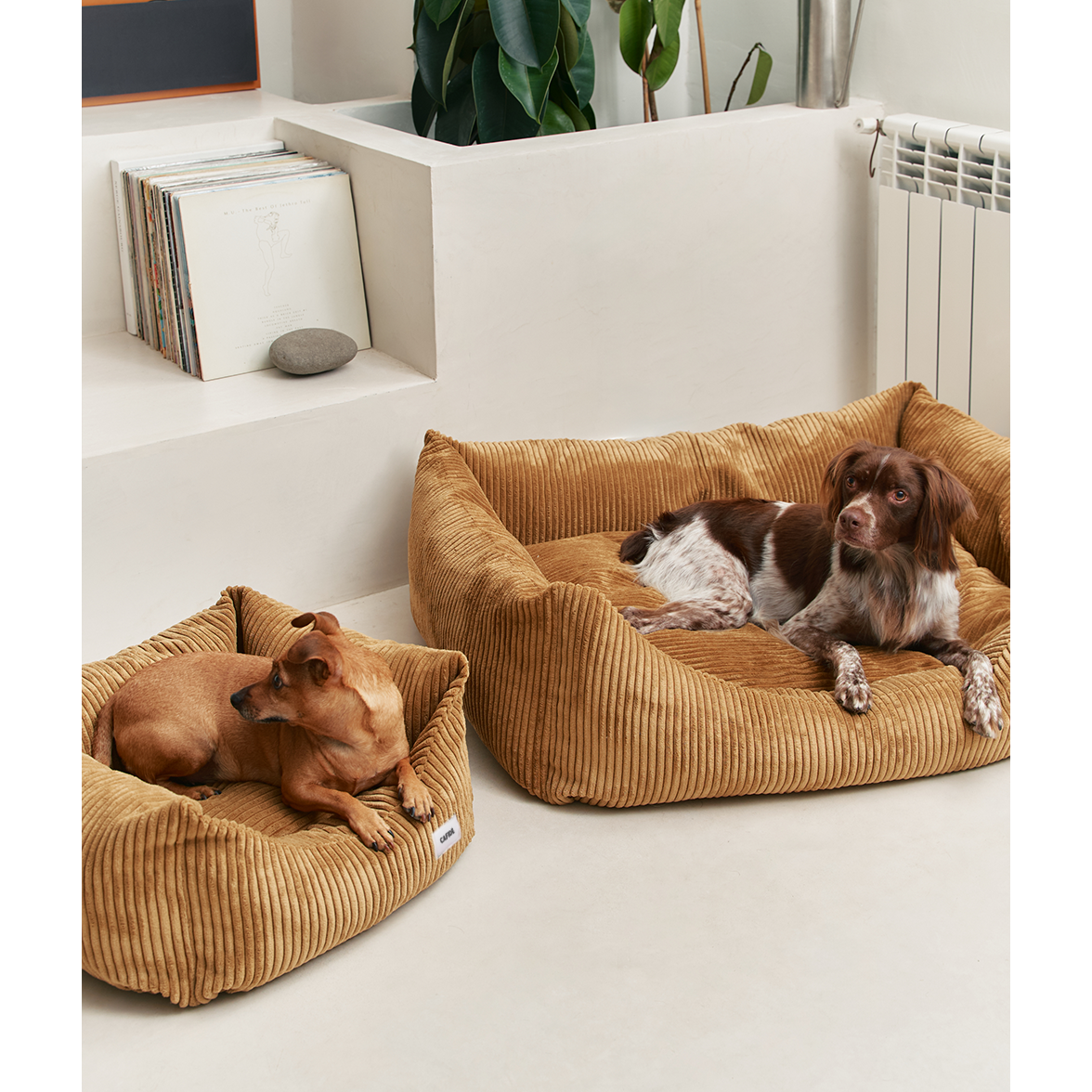 Mustard Corduroy Dog Bed, Snozy