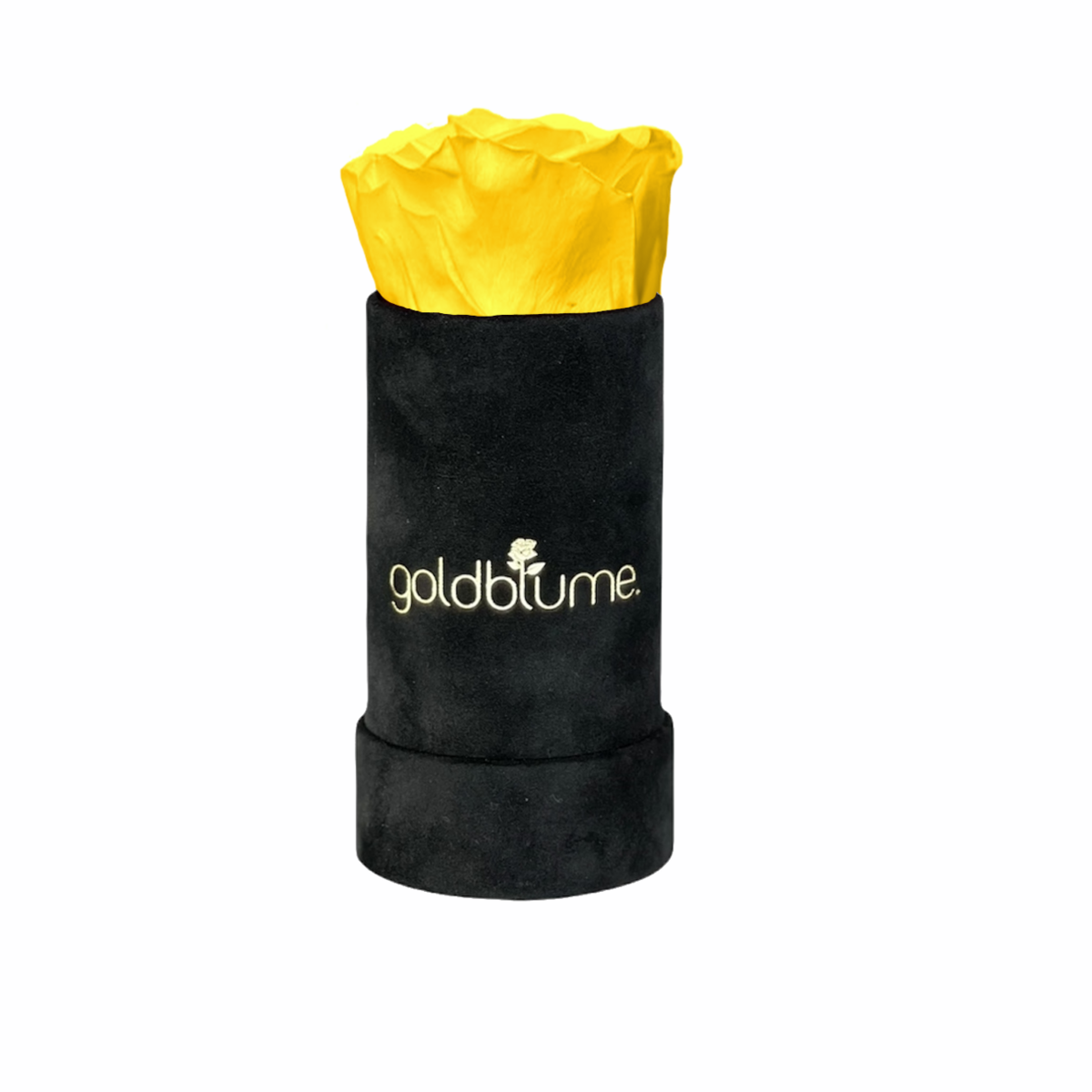 Velvet Black-collectie