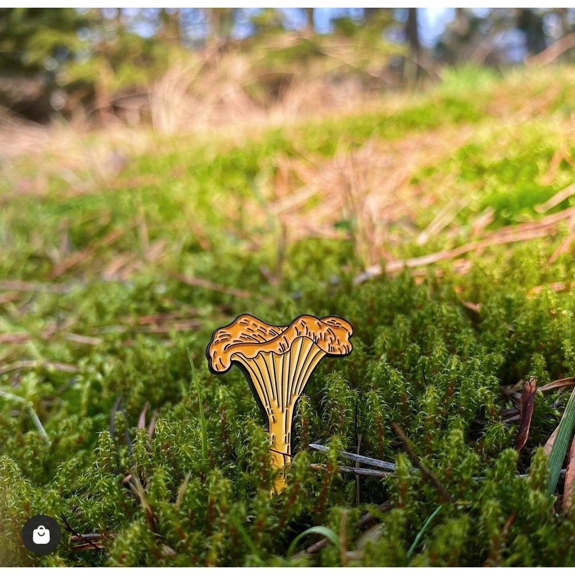 Enamel Pin "Chanterelle"