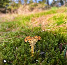 Enamel Pin "Chanterelle"