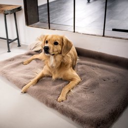 SOFT AFFAIR knuffeldeken voor honden
