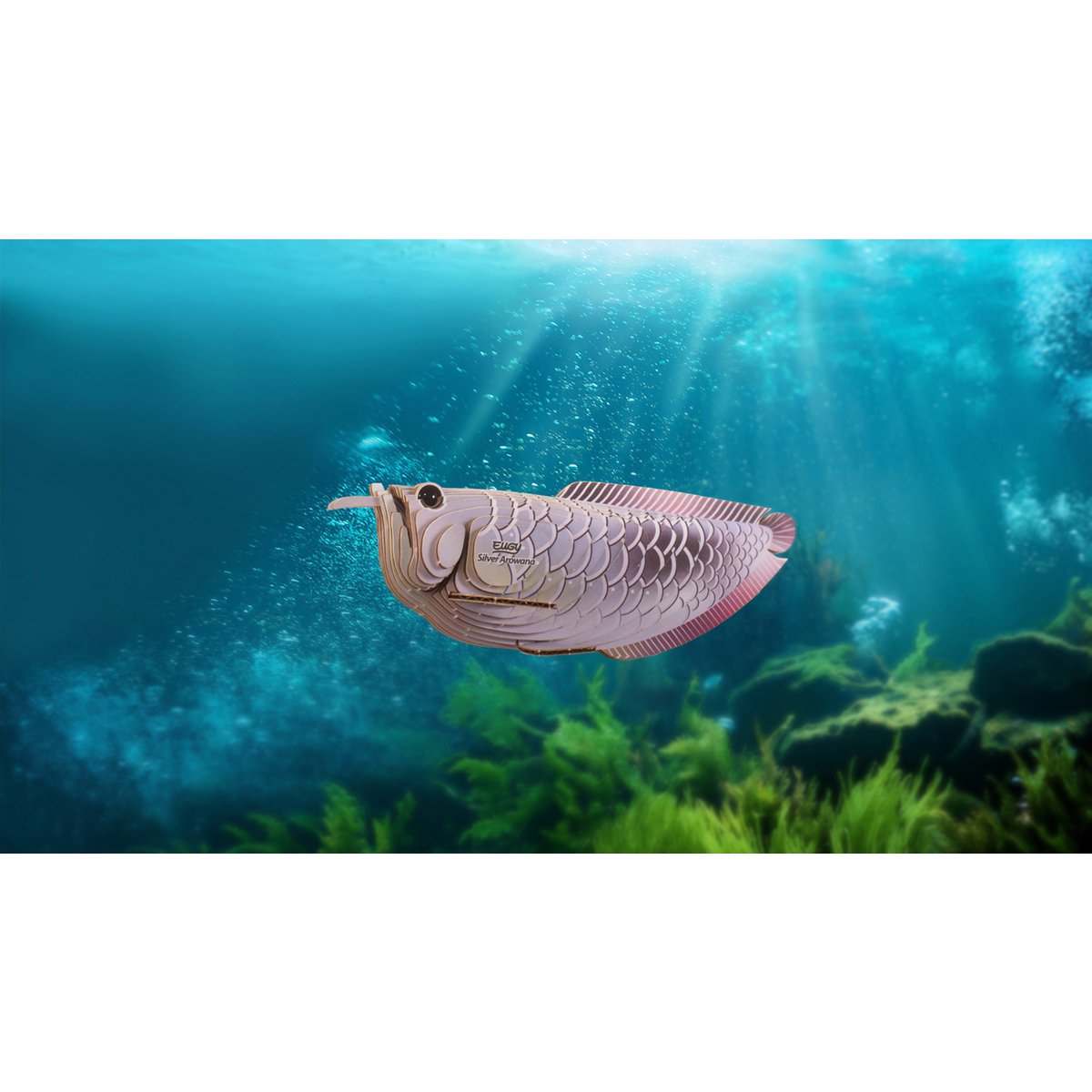 EUGY 3D Puzzle - Silver Arowana