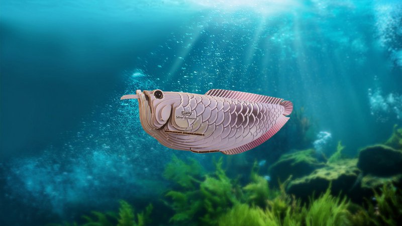 EUGY 3D Puslespil - Sølv Arowana