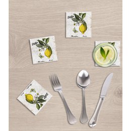 Stone Coaster Sæt - Citrus